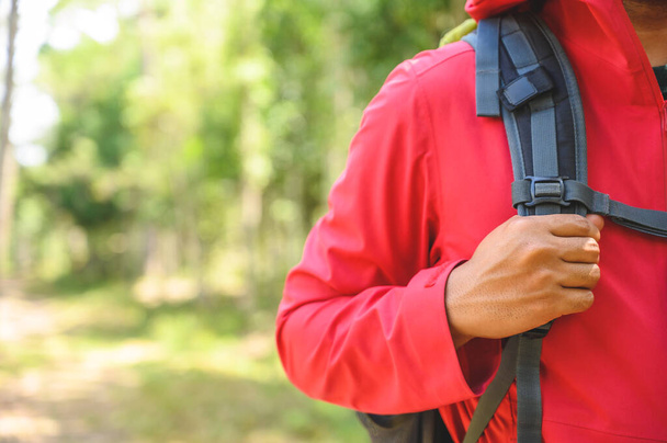 Хіпстерські туристи носять червоні плащі, зелені рюкзаки, подорожують у глибокий ліс
. - Фото, зображення