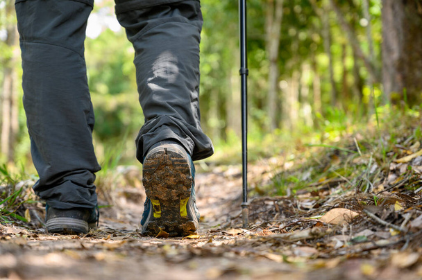 Lähikuva jalka ja kenkä saappaat vaellus nuorten hipster mies kävelevä matkustaja syvässä metsässä
. - Valokuva, kuva