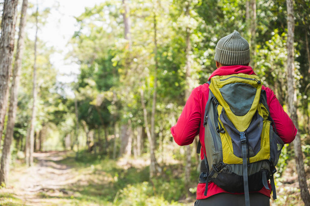 Hipster excursionistas usan impermeables rojos, mochilas verdes, viajar en el bosque profundo
. - Foto, imagen