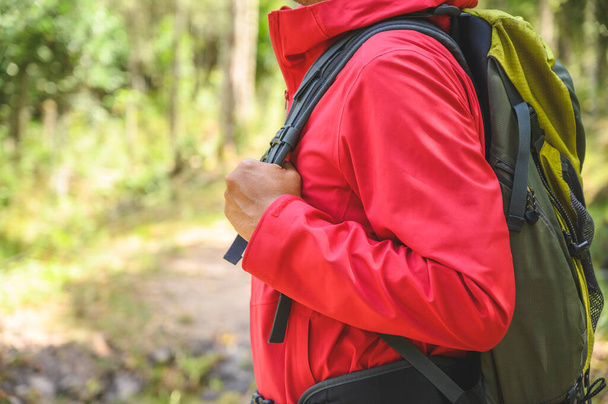 Hipster Hikers käyttää punaisia sadetakkeja, vihreitä reppuja, matkustaa syvään metsään
. - Valokuva, kuva