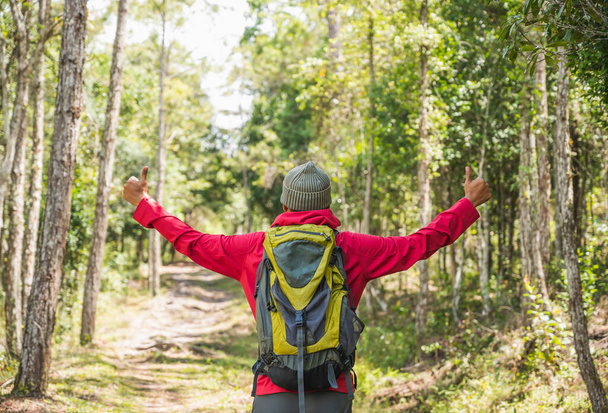 Hipster Hikers käyttää punaisia sadetakkeja, vihreitä reppuja, matkustaa syvään metsään
. - Valokuva, kuva