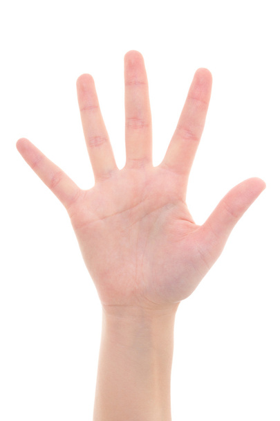 mano femmina isolato, mostrando il numero cinque - Foto, immagini