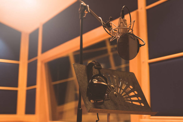 kondenzátorový mikrofon v nahrávacím studiu - Fotografie, Obrázek