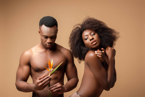 sexy desnudo africano americano pareja posando con Strelitzia flor en beige
 - Foto, Imagen