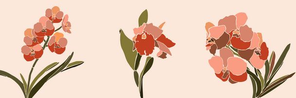 Мистецький колаж з орхідей в мінімальному модному стилі. Силует орхідей на рожевому тлі. Векторні
 - Вектор, зображення