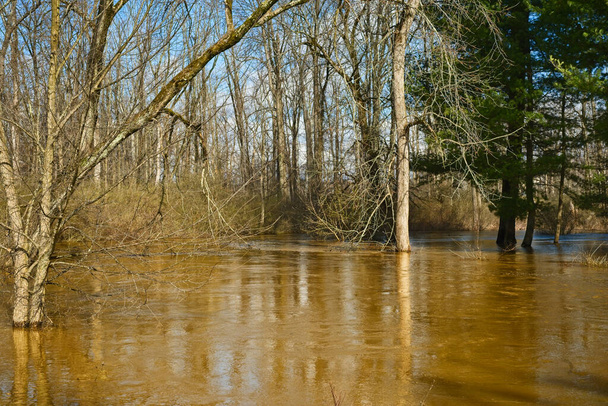 Potok zalewa brzegi wczesną wiosną po kilku dniach ulewnego deszczu. - Zdjęcie, obraz