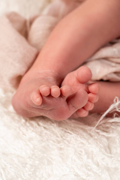 Νεογνά πόδια μωρού κάτω από τη λευκή κουβέρτα, closup του βρέφους ξυπόλυτοι. - Φωτογραφία, εικόνα