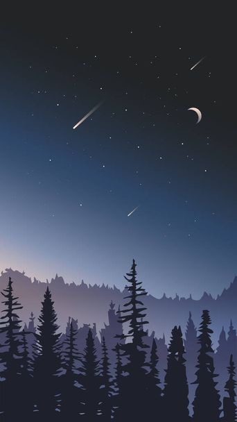 Night sky landscape. - Vector, Image