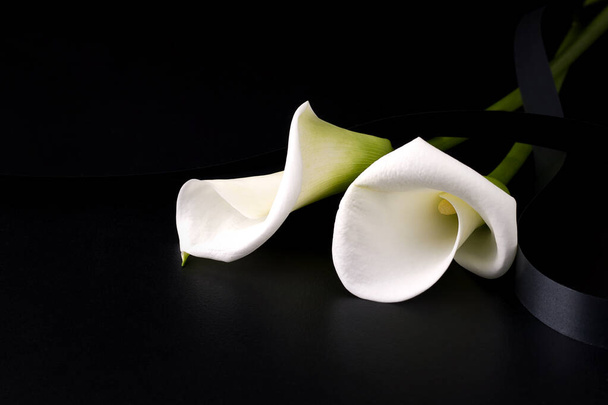 Fehér gyászvirág fekete háttérrel. Másold a helyet. A halál és a bánat fogalma - Fotó, kép
