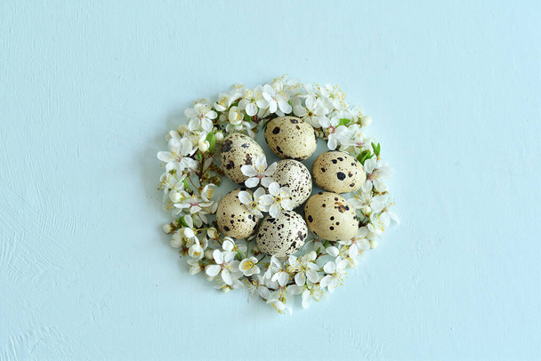 Fond de Pâques avec des œufs de Pâques dans le nid de fleurs de printemps. Vue supérieure avec espace de copie. Joyeux Pâques Printemps Carte de voeux festive. Arrangement de vacances
. - Photo, image