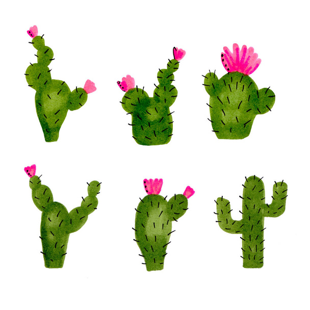 Set of six hand drawn green cacti. Watercolor / Marker illustration - Foto, imagen