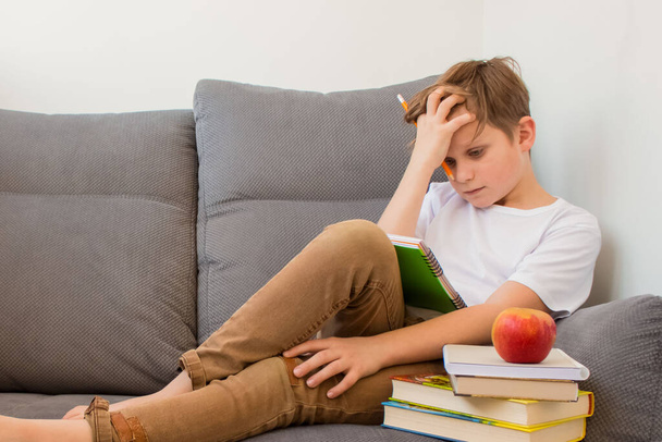 子供の男の子はほとんど彼の宿題に取り組んで、本やラップトップで自宅でオンラインで勉強し、現代的なインテリアの灰色のソファに座っています。少年は疲れている、フラストレーションを感じている. - 写真・画像