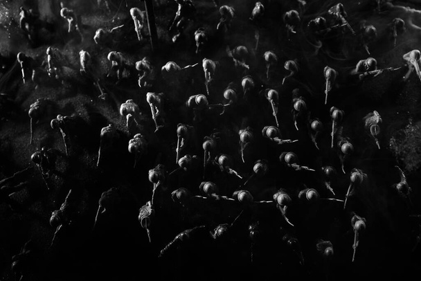 Έννοια πολέμου. Στρατιωτικές σιλουέτες καταπολέμηση σκηνή στο φόντο ομίχλη του πολέμου ουρανό, Στρατιώτες του Παγκοσμίου Πολέμου Σιλουέτα κάτω από συννεφιά Skyline τη νύχτα. Προβολή από πάνω - Φωτογραφία, εικόνα