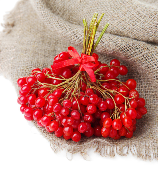 Red berries of viburnum on sackcloth napkin, isolated on white - Photo, image