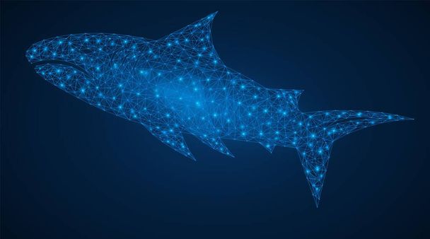 Een haai. Een netwerk van met elkaar verbonden lijnen en stippen vormt een roofvis. Abstract blauwe achtergrond. - Vector, afbeelding