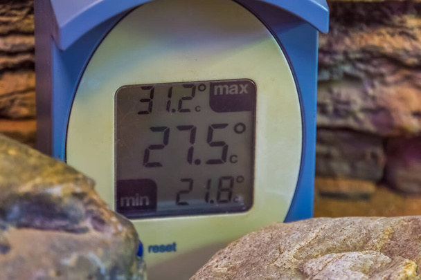 termómetro digital de climatización para mascotas tropicales en un terrario
 - Foto, imagen