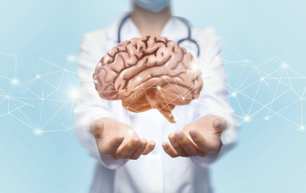 Unerkennbare Ärztin hält Gehirn mit beiden Händen - Foto, Bild