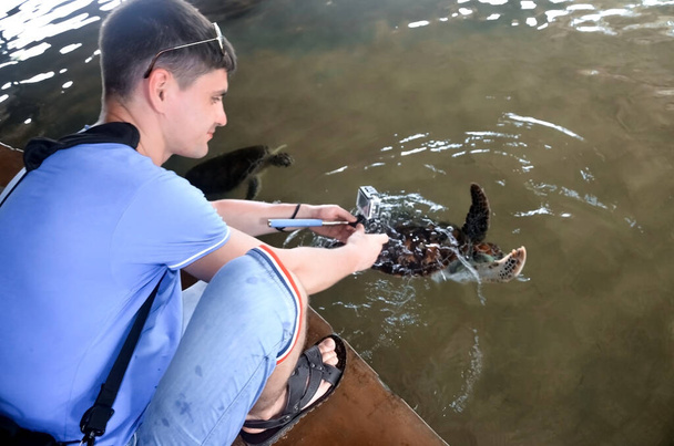Nuori brunette kaveri kamera vapauttaa kilpikonna veteen, vapaaehtoinen säästää kilpikonnia, eläinten suojelua, poika ottaa kuvia kilpikonna. säästää eläimiä Sea Conservation Research Project Center Bento
 - Valokuva, kuva
