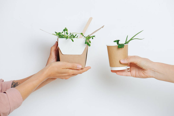 Two people presenting eco friendly containers with greens to each other. Over white background. Disposable, compostable eco-friendly products made of cornstarch, bamboo and paper. Side view. - Photo, Image