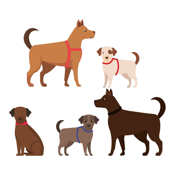 gruppo di simpatici cani mascotte
 - Vettoriali, immagini