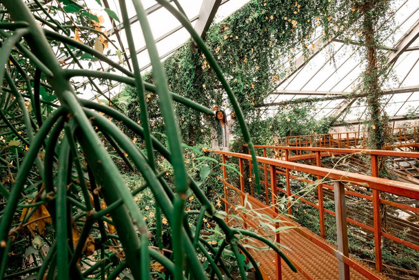 花のアーチの赤い階段の上に白いドレスの中に複数の色のドレッドロックを持つ孤独な美しい少女。ウクライナの植物園でエキゾチックな熱帯植物と温室, Dnipr. - 写真・画像