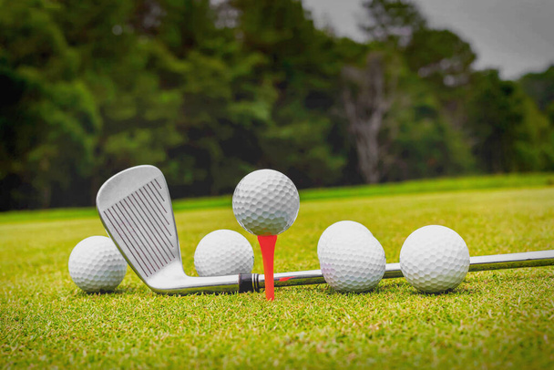 Balles de golf et club de golf sur herbe verte
 - Photo, image