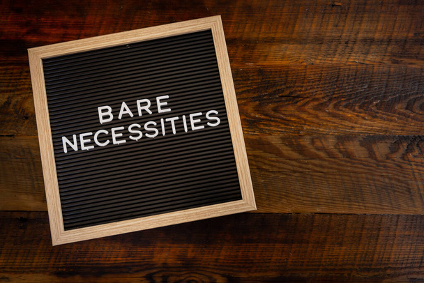 Bare Necessitites  with Copy Space to right - Photo, Image