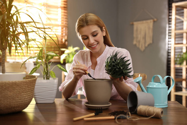 Young woman potting succulent plant at home. Engaging hobby - Fotografie, Obrázek
