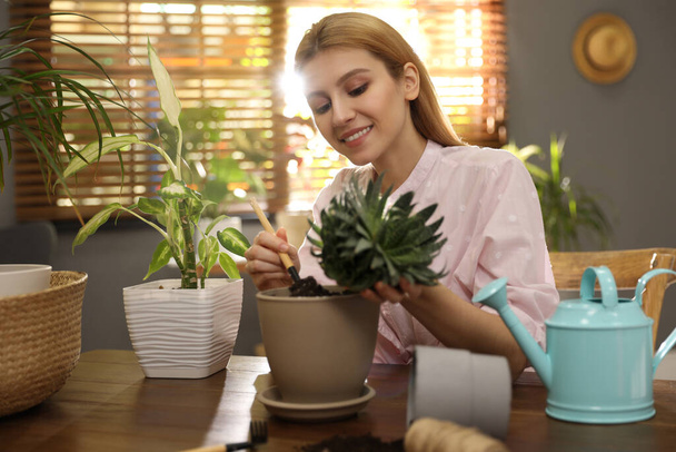 Een jonge vrouw die thuis sappige planten pott. Betrokken hobby - Foto, afbeelding
