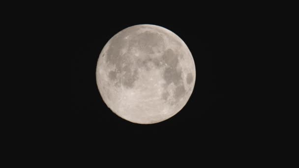 Tokyo,Japan-April 8, 2020: The supermoon, the largest full moon of 2020, observed in Tokyo, Japan, at around 3AM on April 8, 2020 - Footage, Video
