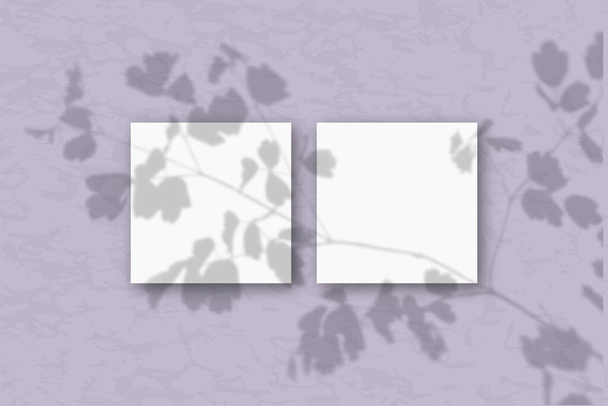 2 quadratische Blätter weißes strukturiertes Papier auf einer pastellvioletten Wand. Mockup mit einer Überlagerung von Pflanzenschatten. Natürliches Licht wirft Schatten von den Wipfeln von Feldpflanzen und Blumen. - Foto, Bild