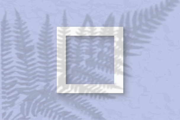 Der quadratische Rahmen auf pastellblauem Hintergrund. Mockup-Overlay mit den Schatten der Pflanze. Natürliches Licht wirft Schatten von den Farnblättern. Flache Lage, Draufsicht. - Foto, Bild