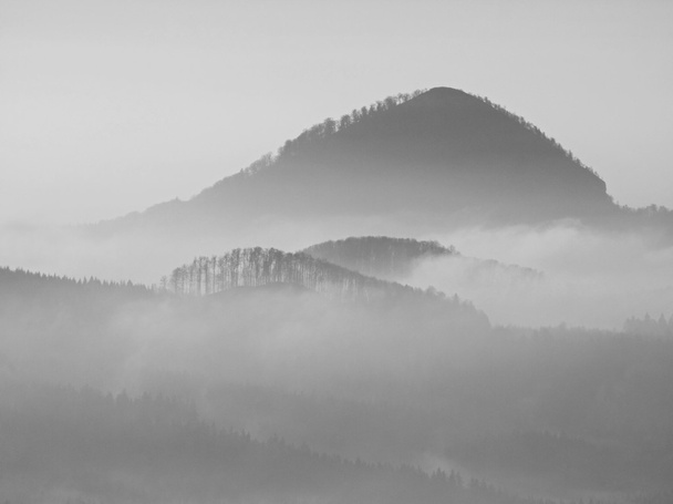 Autumn sunrise in a beautiful mountain of Bohemia within inversion. Peaks of hills increased from foggy background. - Photo, Image
