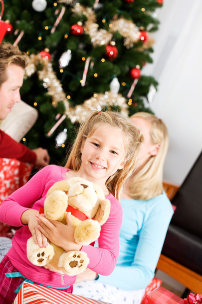 Natal: Menina Obtém Stuffed Dog para o Natal
 - Foto, Imagem