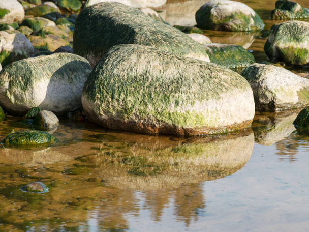 Meer, Ufer und Felsen, große Felsen an einem sandigen Ufer vor dem Hintergrund der Ostsee - Foto, Bild