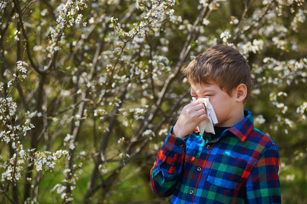 Allergien durch blühende Bäume. Ein Junge mit einem Taschentuch flieht aus einer Quelle . - Foto, Bild