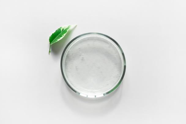 Piatto in vetro di Petri con siero trasparente puro per la cura della pelle e foglia verde su sfondo bianco, vista dall'alto. Concetto test di laboratorio e di ricerca, rendendo naturale cosmetico organico
 - Foto, immagini