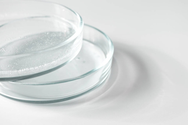 Gel trasparente close-up in piatto di vetro Petri su sfondo bianco con spazio copia e messa a fuoco selettiva
 - Foto, immagini