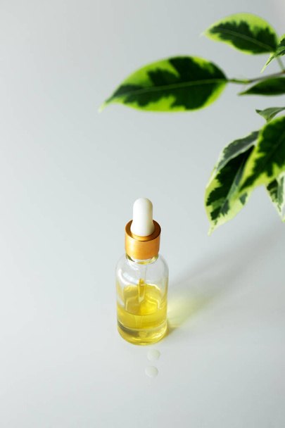 Serum essence in glass bottle and leaves on white background with selective focus. Skin care beauty product. Face moisturizer. Concept natural and organic cosmetic, vertical - Photo, Image