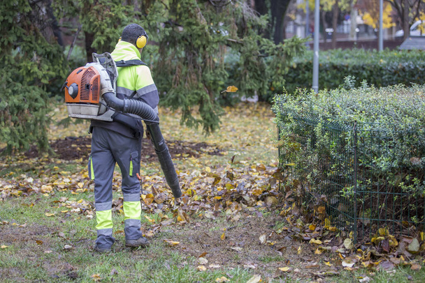 werknemer met een zware bladblazer in het stadspark. Bladeren die opzwellen. Verwijderen van gevallen bladeren in de herfst. gebladerte reinigen in. - Foto, afbeelding