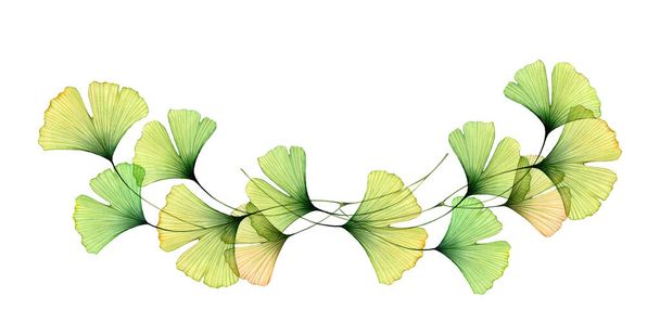 水彩イチョウは国境を残します。枝の水平配置。白で隔離された透明な緑の葉。結婚式、ロゴ、カードのための現実的な植物イラスト - 写真・画像