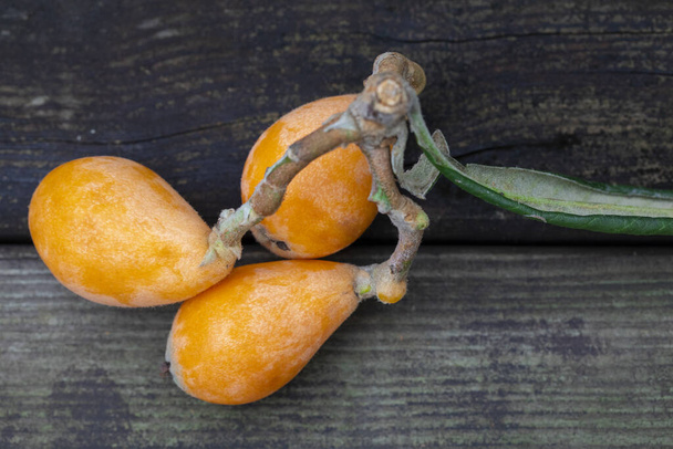 Fruit du loquat, nommé d'après sa forme ressemblant à un instrument de luth
 - Photo, image