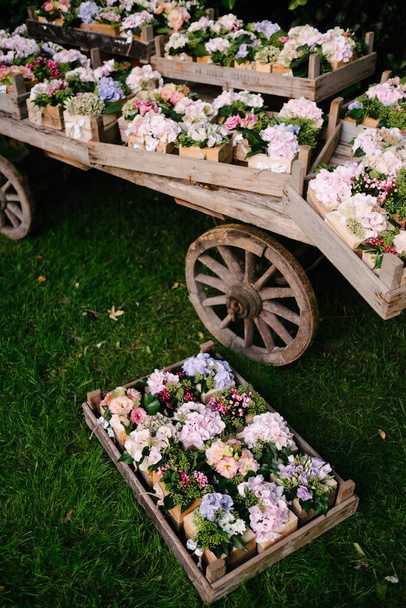 muinainen puinen vaunu purkit kukkia
 - Valokuva, kuva