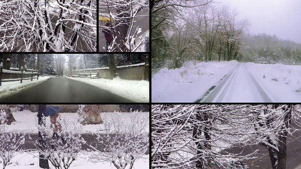 雪の日のコラージュ - 映像、動画