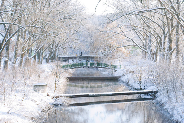 Winter River - Photo, Image