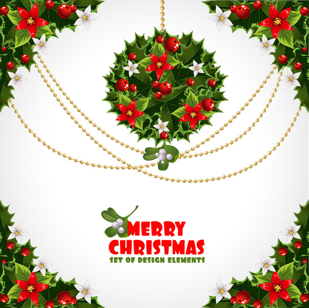 Set of misc Christmas design elements from holly and mistletoe - Vector, Image