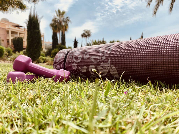 Close-up de halteres rosa mantidos em um tapete de exercício rosa no jardim ou parque
 - Foto, Imagem