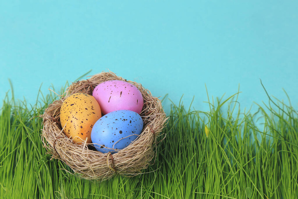 Colorful easter eggs in nest on turquoise background - Фото, зображення