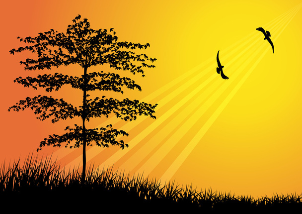 Boom silhouet met vogel met het vliegen - Vector, afbeelding