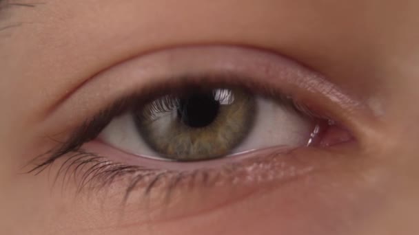 Το μάτι ενός νεαρού από κοντά. Με κόκκινα τριχοειδή αγγεία στο μάτι. Αναβοσβήνει και κινείται - Πλάνα, βίντεο